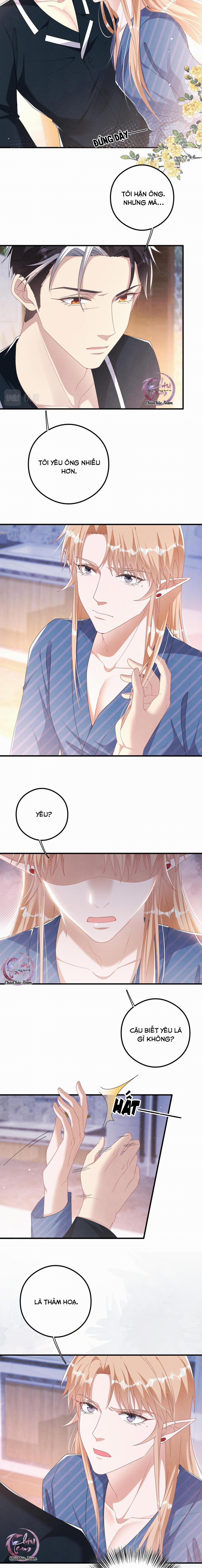 Trói Chặt Sói Của Tôi 46 trang 1