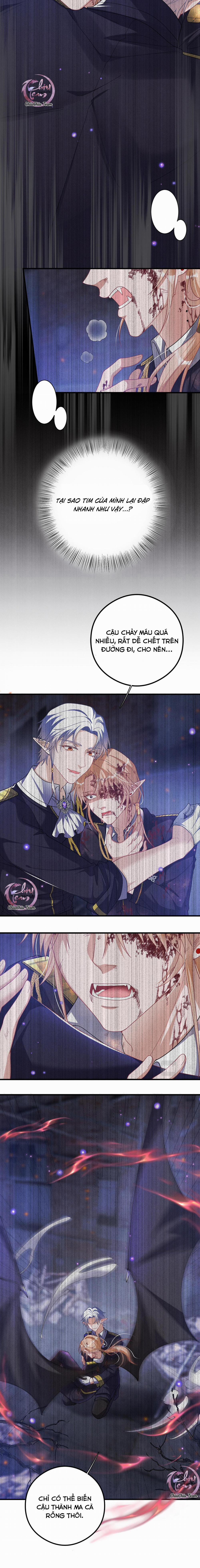 Trói Chặt Sói Của Tôi 46 trang 6