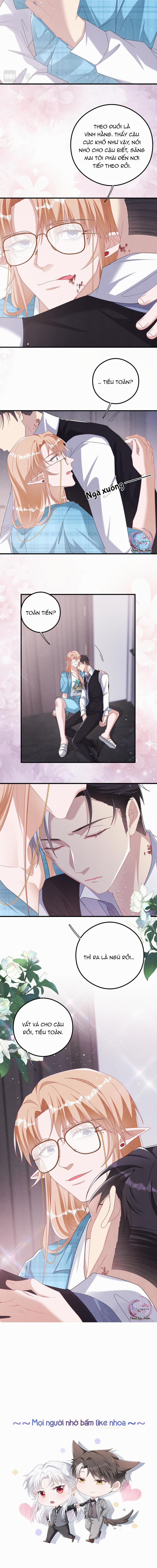 Trói Chặt Sói Của Tôi 49 trang 9