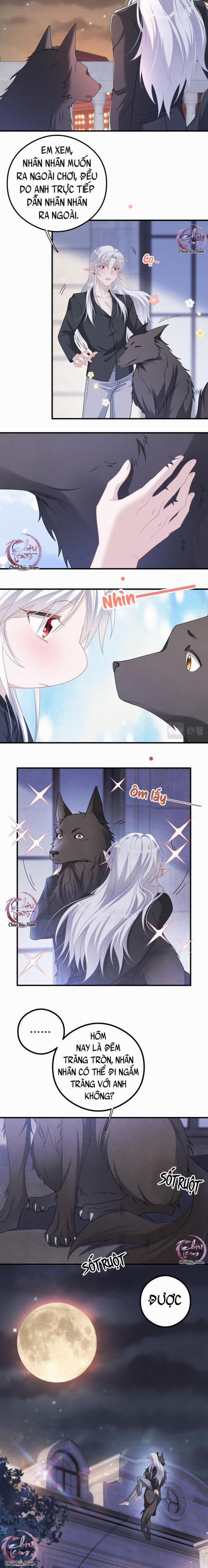 Trói Chặt Sói Của Tôi 50 trang 8