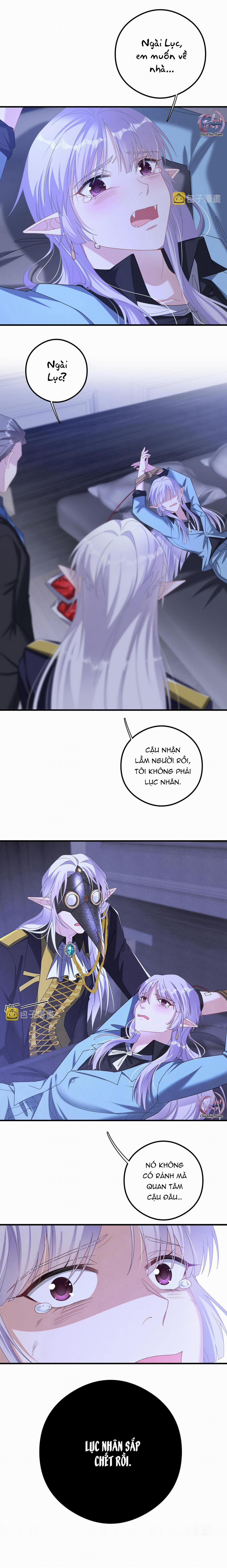 Trói Chặt Sói Của Tôi 52 trang 5