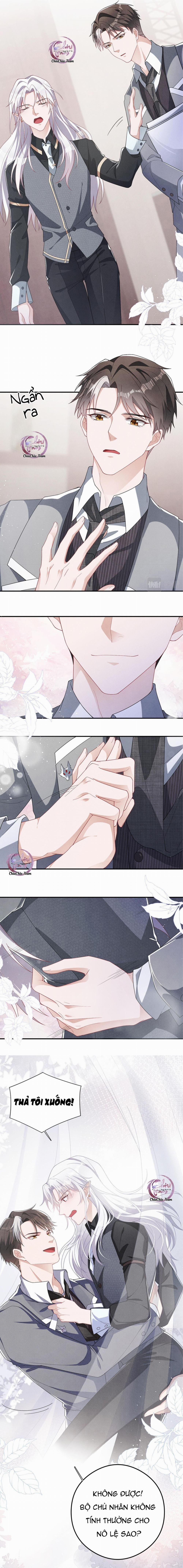 Trói Chặt Sói Của Tôi 6 trang 4