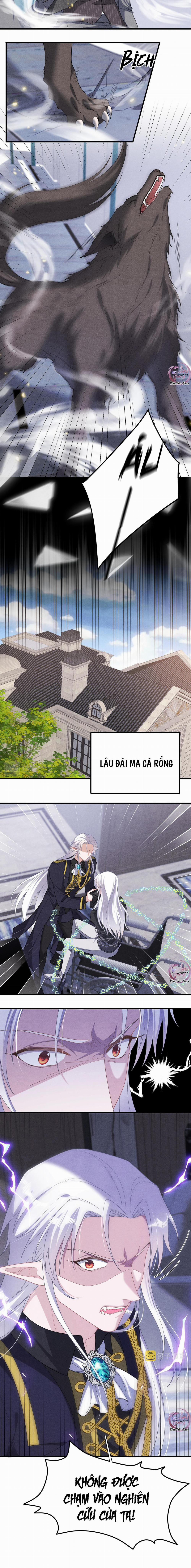 Trói Chặt Sói Của Tôi 60 trang 7