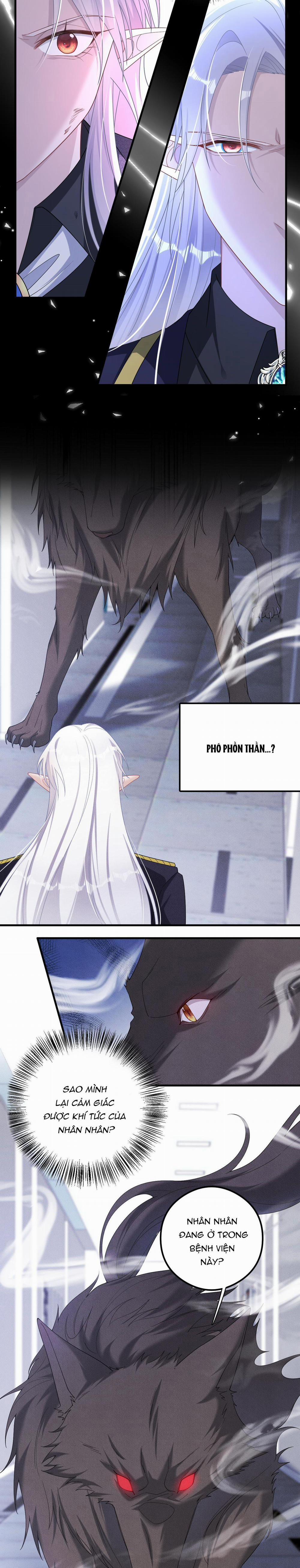 Trói Chặt Sói Của Tôi 61 trang 8