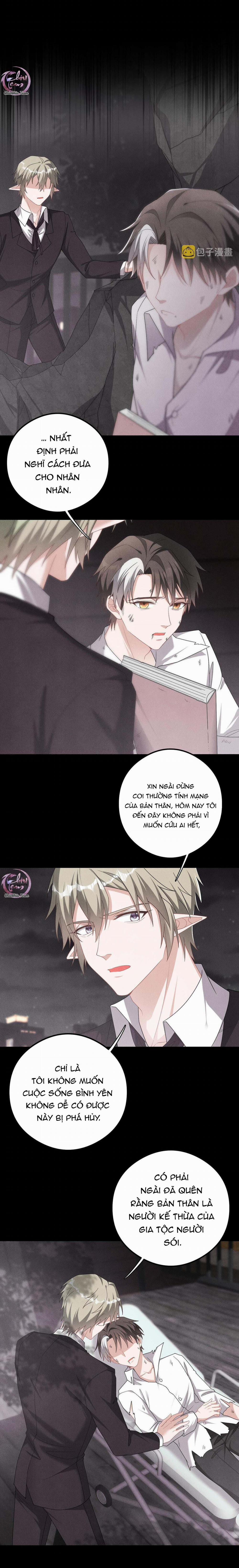 Trói Chặt Sói Của Tôi 62 trang 8