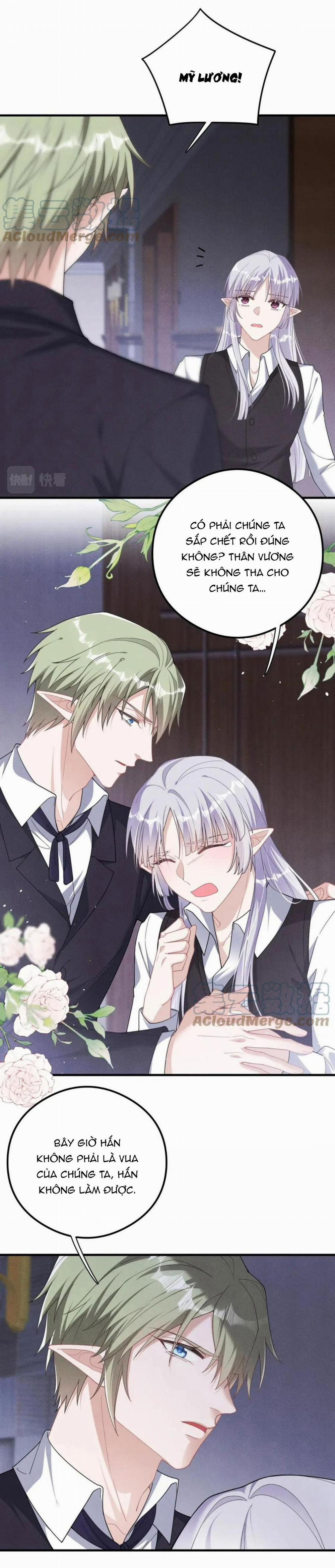 Trói Chặt Sói Của Tôi 63 trang 2