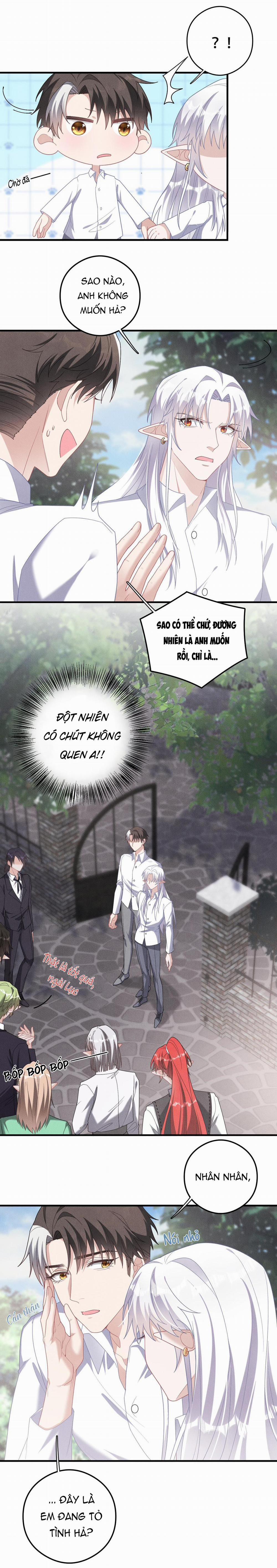 Trói Chặt Sói Của Tôi 71 trang 1