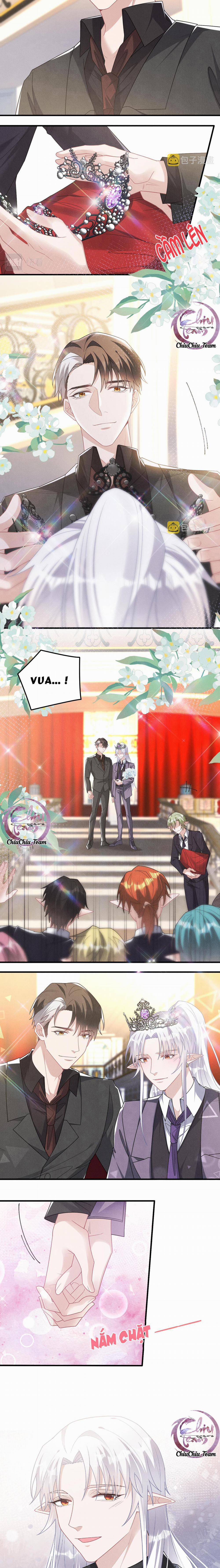 Trói Chặt Sói Của Tôi 74 trang 2