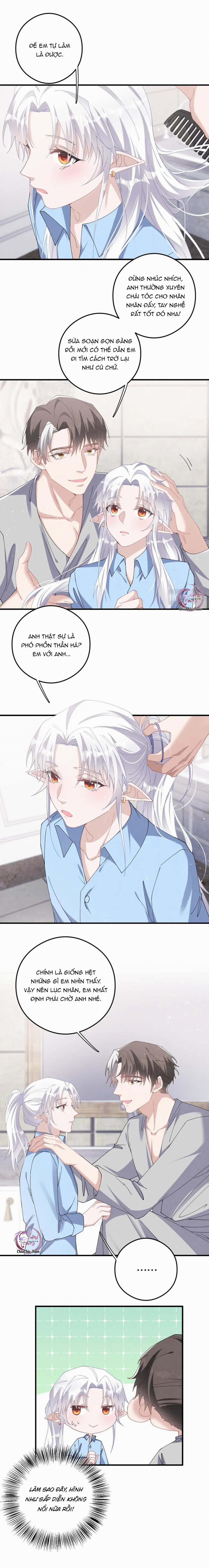 Trói Chặt Sói Của Tôi 80 trang 1