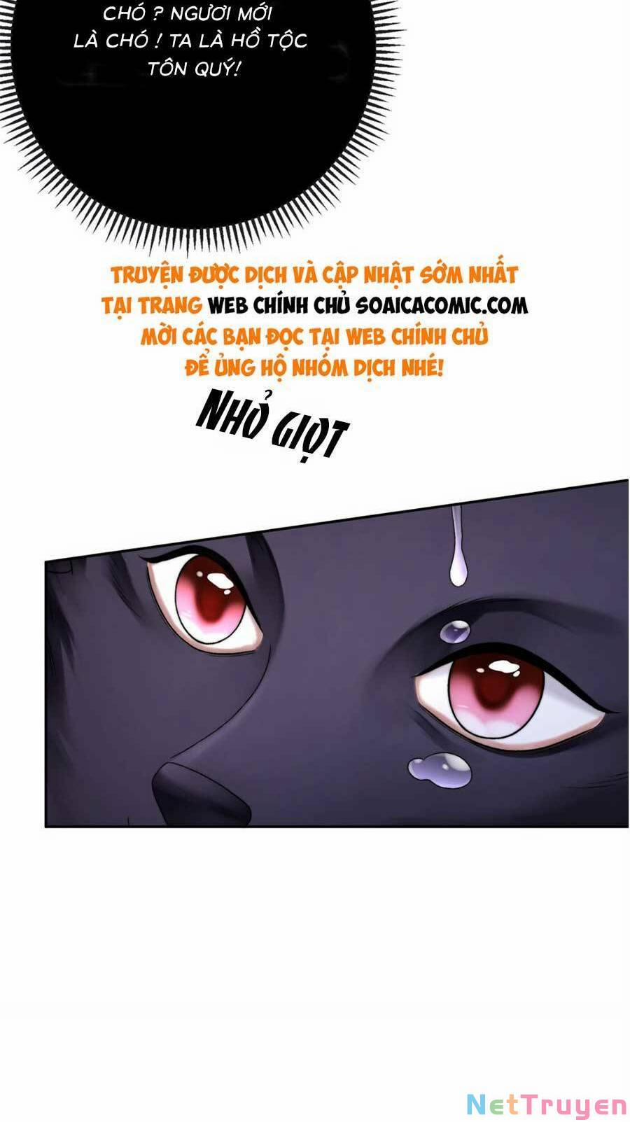 Trong Đầu Bá Tổng Có Cái Hố 1 trang 11