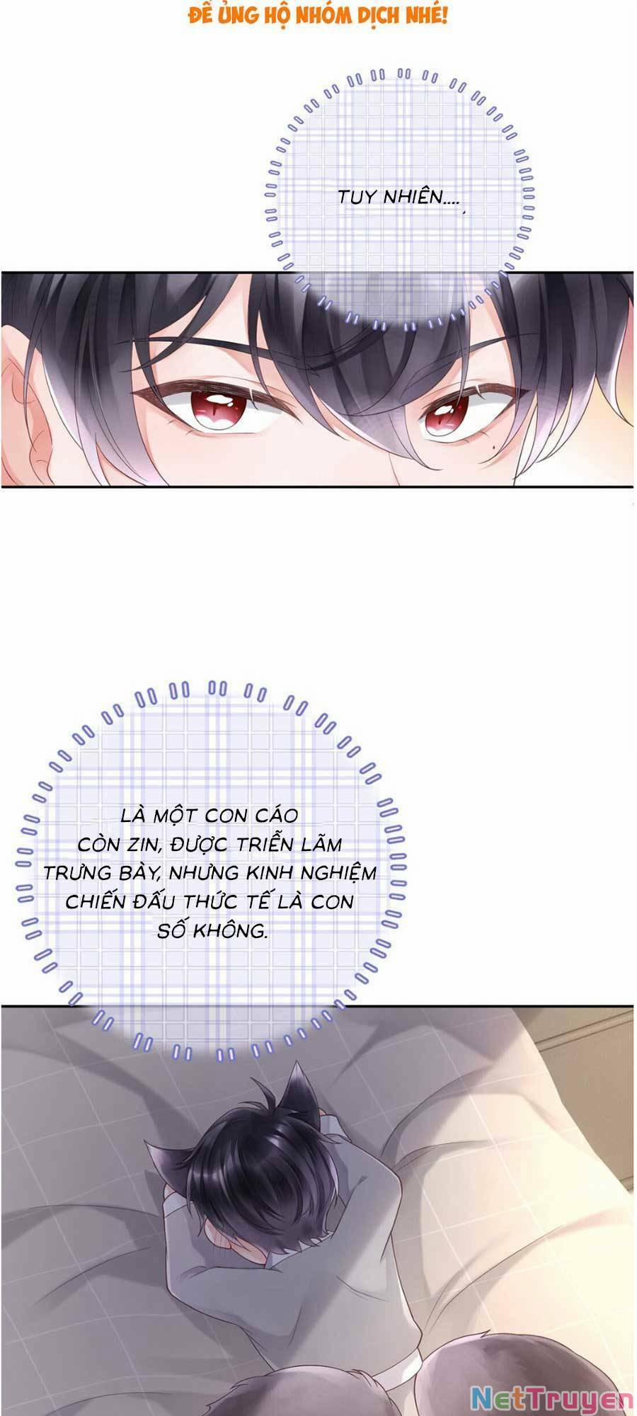 Trong Đầu Bá Tổng Có Cái Hố 5 trang 78