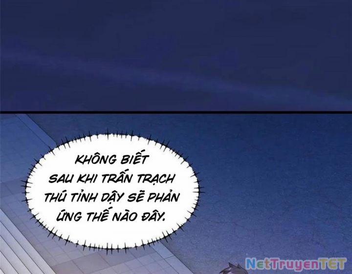 Trọng Sinh Không Làm Chạn Vương, Tôi Một Mình Nạp Game Thăng Cấp 195 trang 93