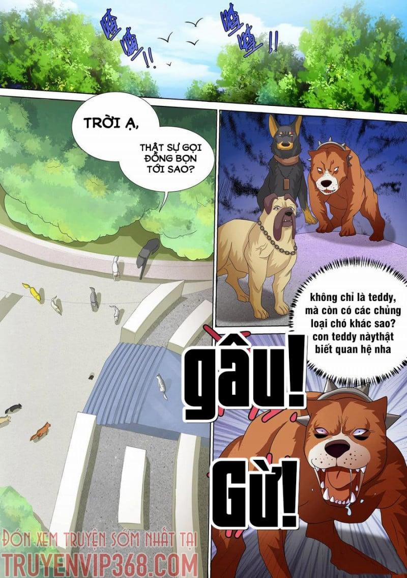 Trọng Sinh Thành Chó Của Nữ Thần 10 trang 0