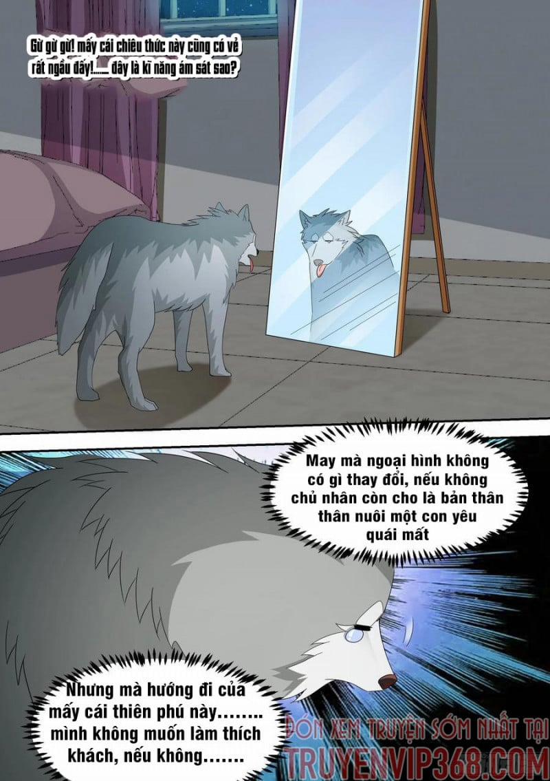 Trọng Sinh Thành Chó Của Nữ Thần 15 trang 14