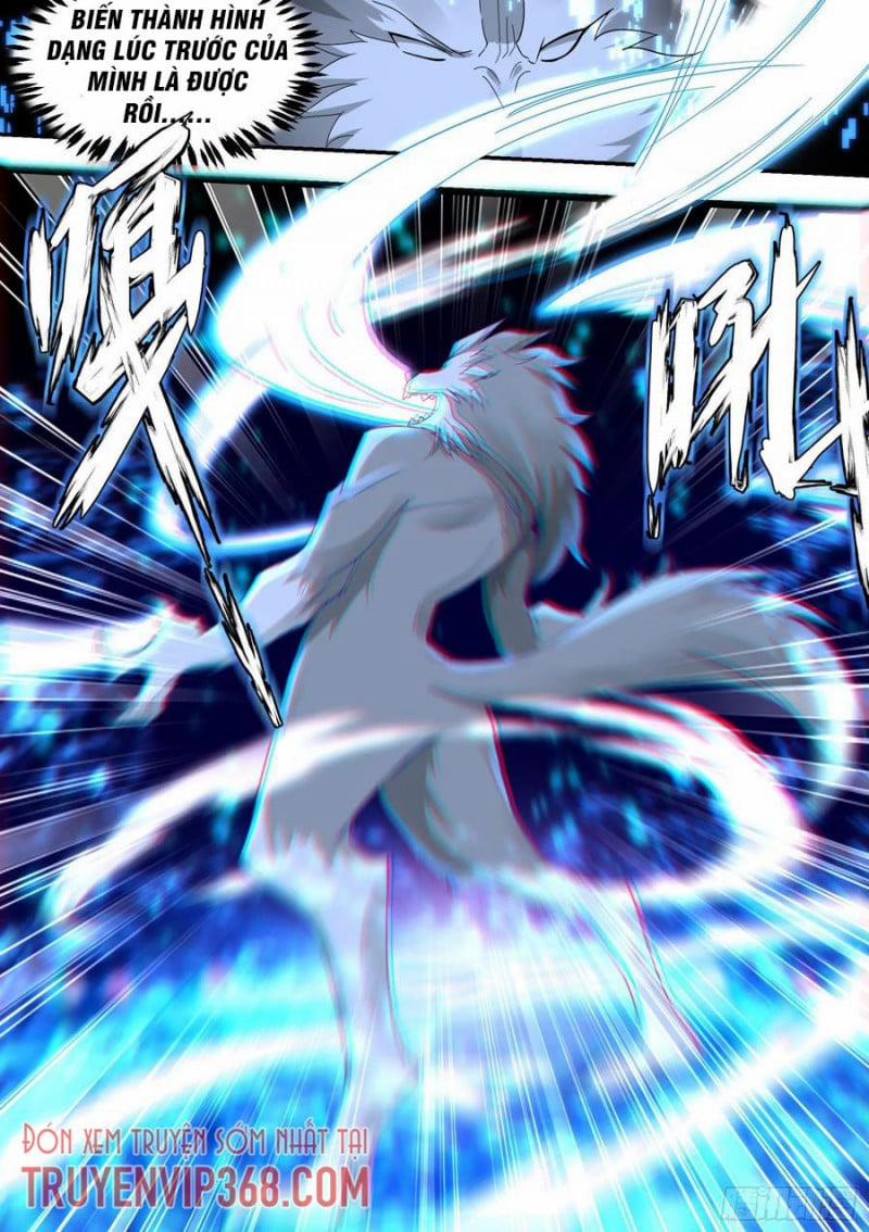 Trọng Sinh Thành Chó Của Nữ Thần 23 trang 3