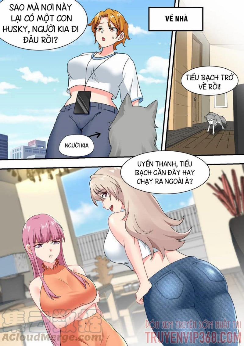 Trọng Sinh Thành Chó Của Nữ Thần 27 trang 2