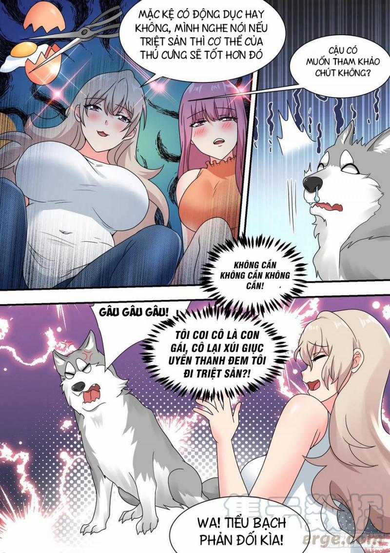 Trọng Sinh Thành Chó Của Nữ Thần 27 trang 4