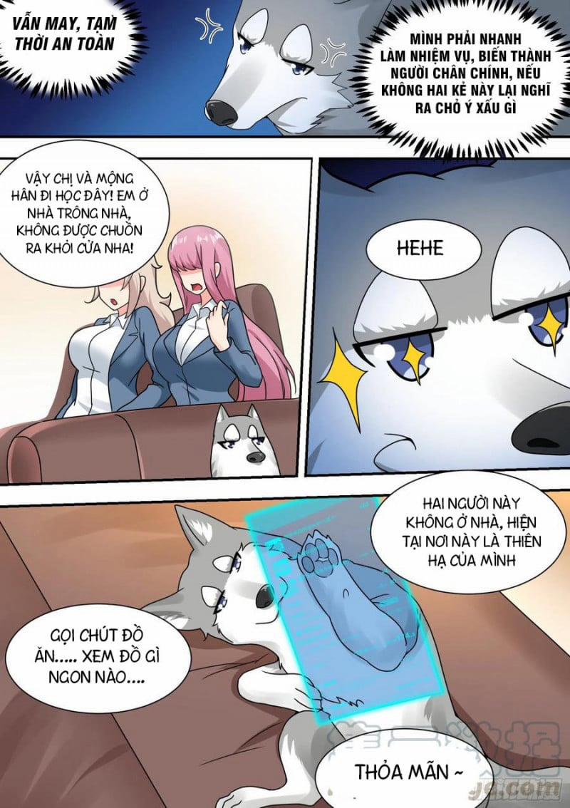 Trọng Sinh Thành Chó Của Nữ Thần 27 trang 6