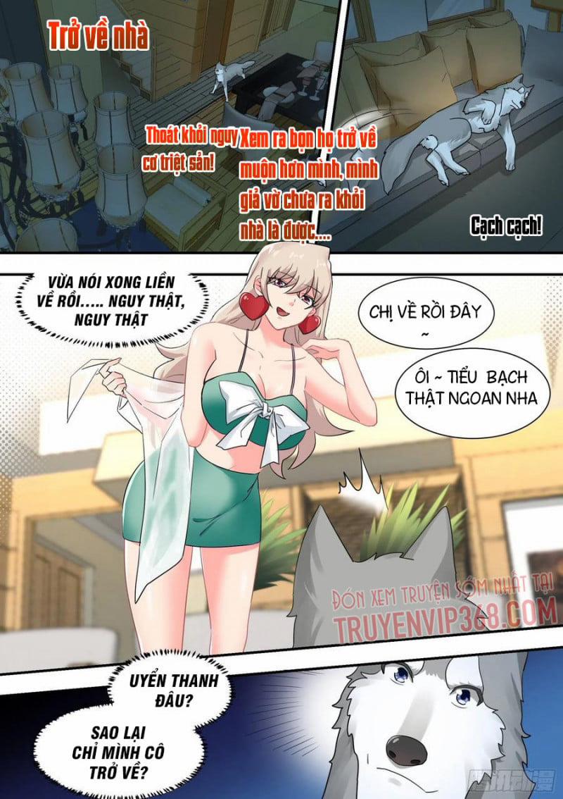 Trọng Sinh Thành Chó Của Nữ Thần 29 trang 15