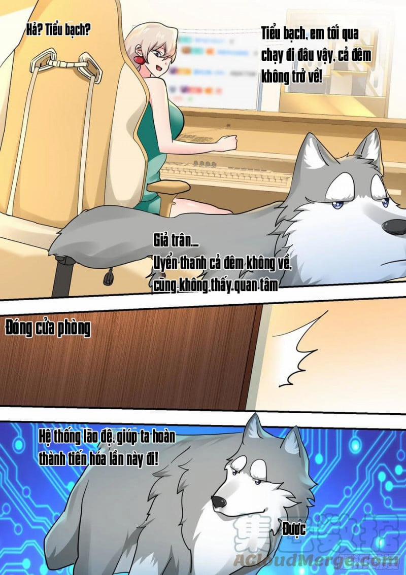 Trọng Sinh Thành Chó Của Nữ Thần 32 trang 10