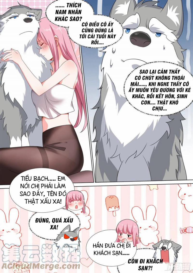 Trọng Sinh Thành Chó Của Nữ Thần 45 trang 6