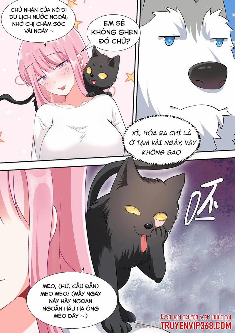 Trọng Sinh Thành Chó Của Nữ Thần 49 trang 6