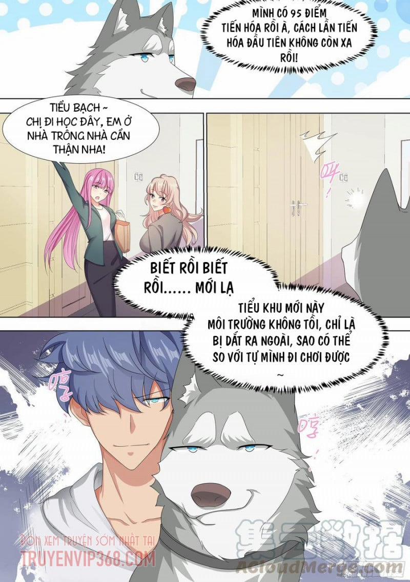 Trọng Sinh Thành Chó Của Nữ Thần 9 trang 10