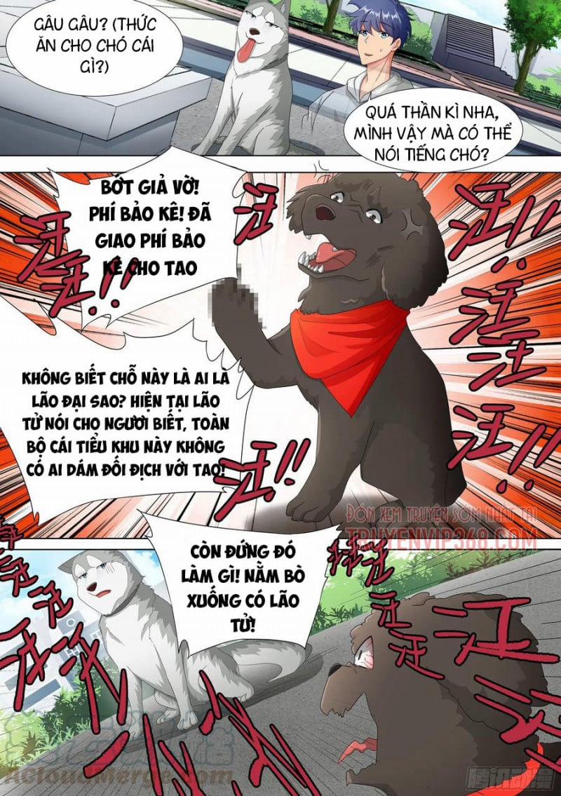 Trọng Sinh Thành Chó Của Nữ Thần 9 trang 14