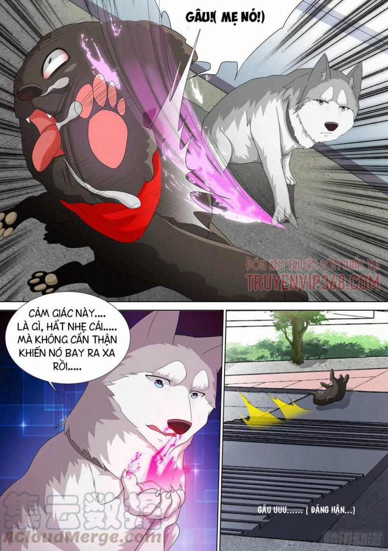 Trọng Sinh Thành Chó Của Nữ Thần 9 trang 16