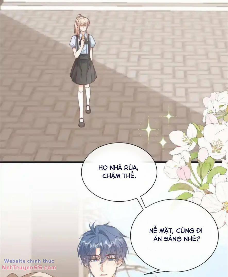 Trọng Sinh Trở Lại Làm Vợ Tổng Tài 100 trang 24