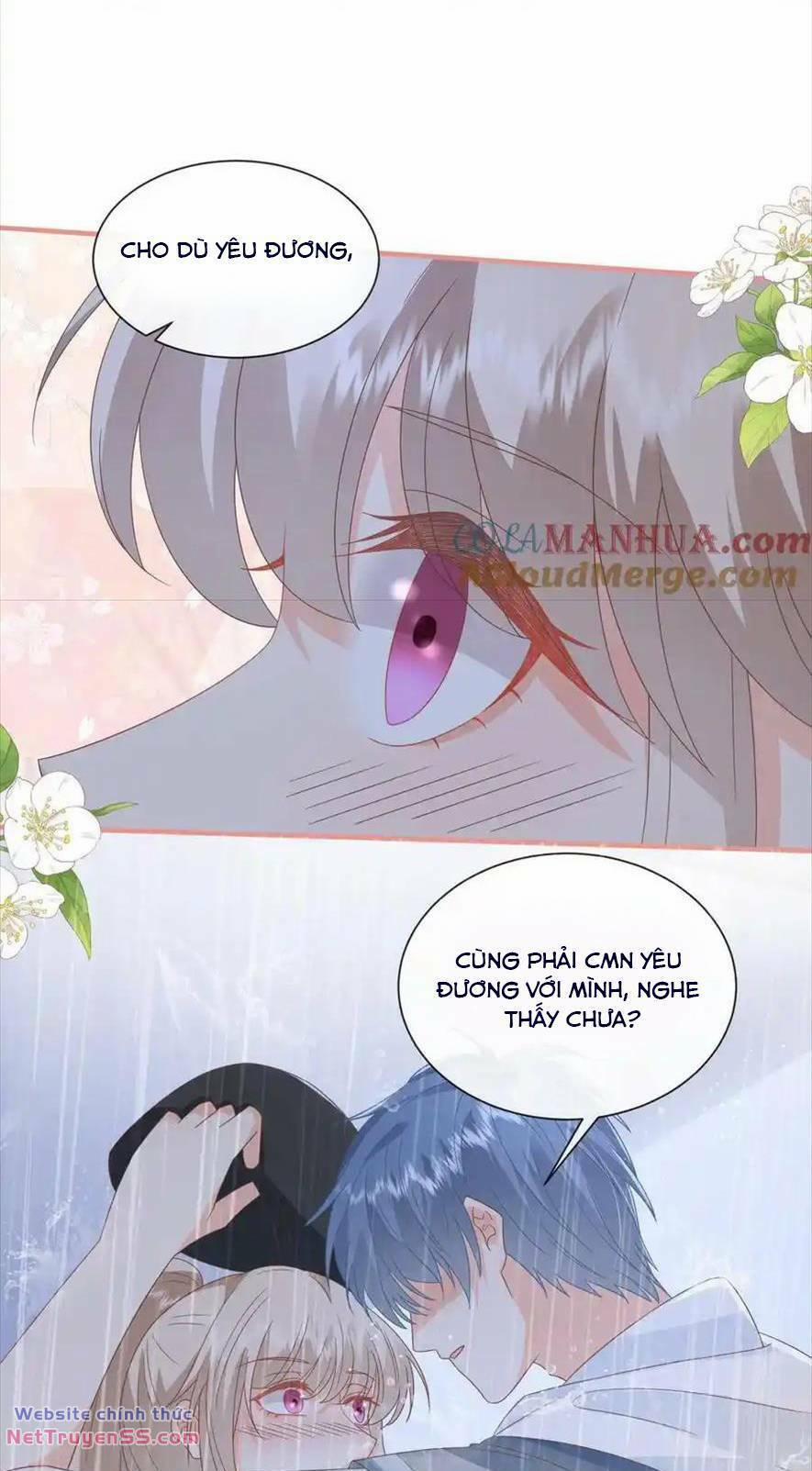 Trọng Sinh Trở Lại Làm Vợ Tổng Tài 100 trang 6