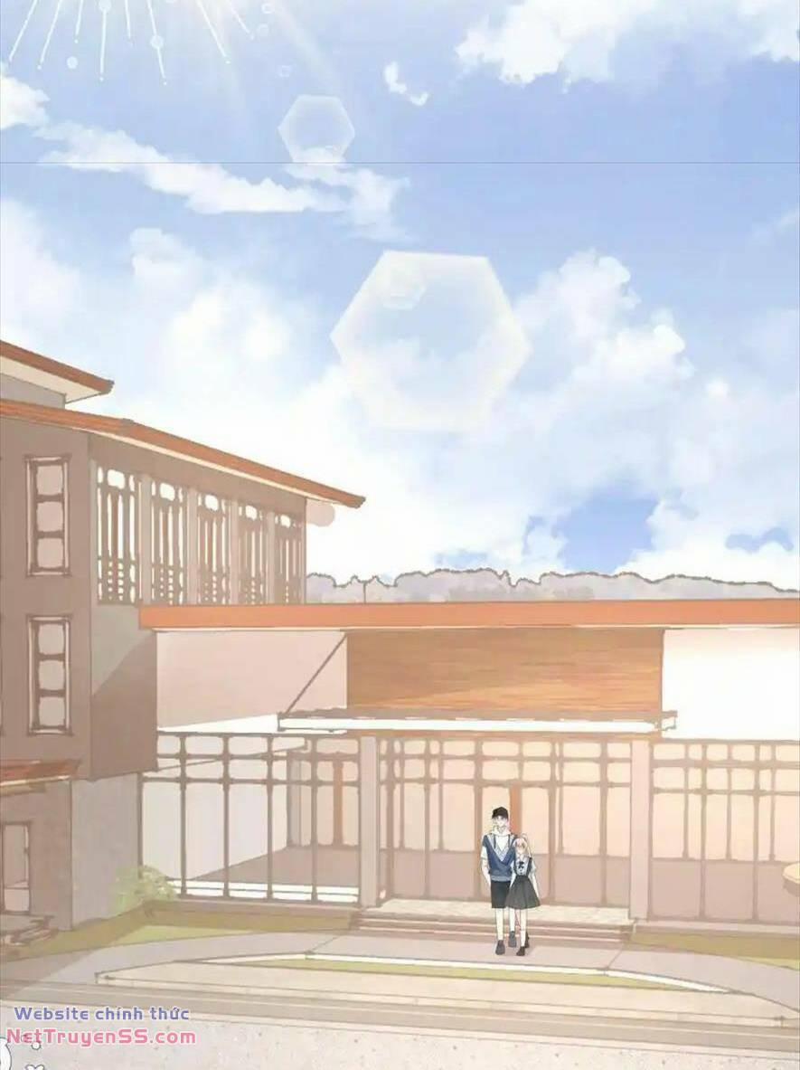 Trọng Sinh Trở Lại Làm Vợ Tổng Tài 101 trang 16