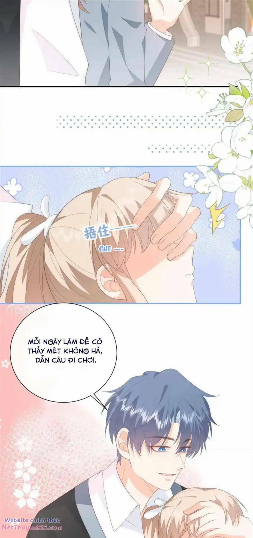 Trọng Sinh Trở Lại Làm Vợ Tổng Tài 104 trang 11