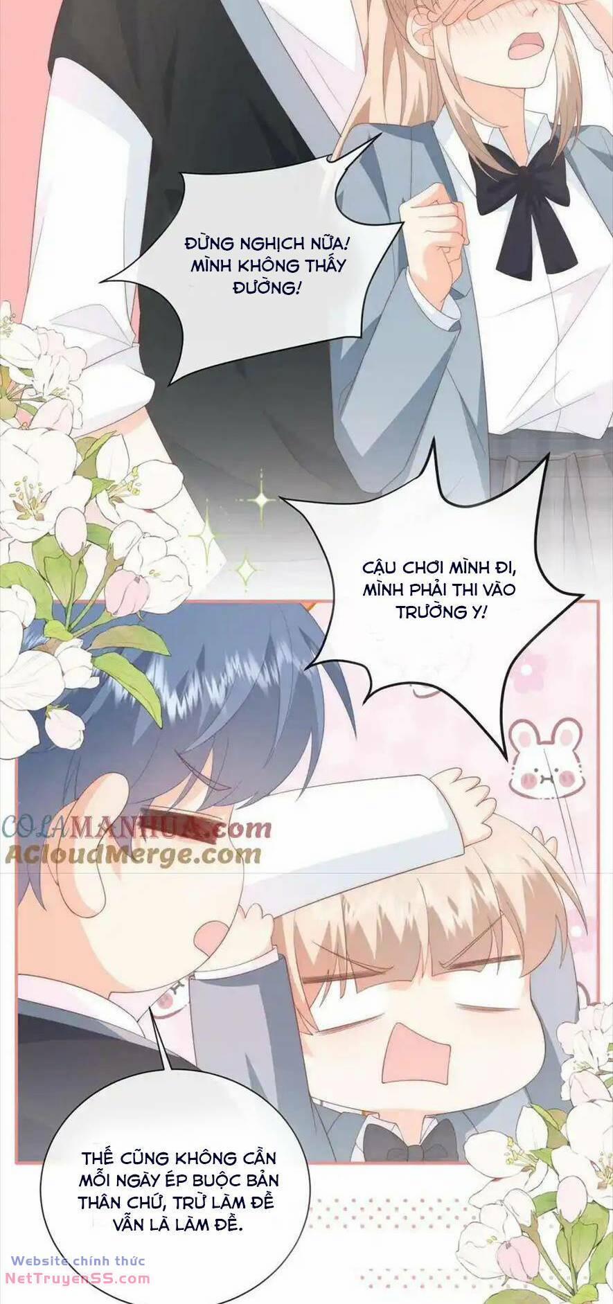 Trọng Sinh Trở Lại Làm Vợ Tổng Tài 104 trang 12