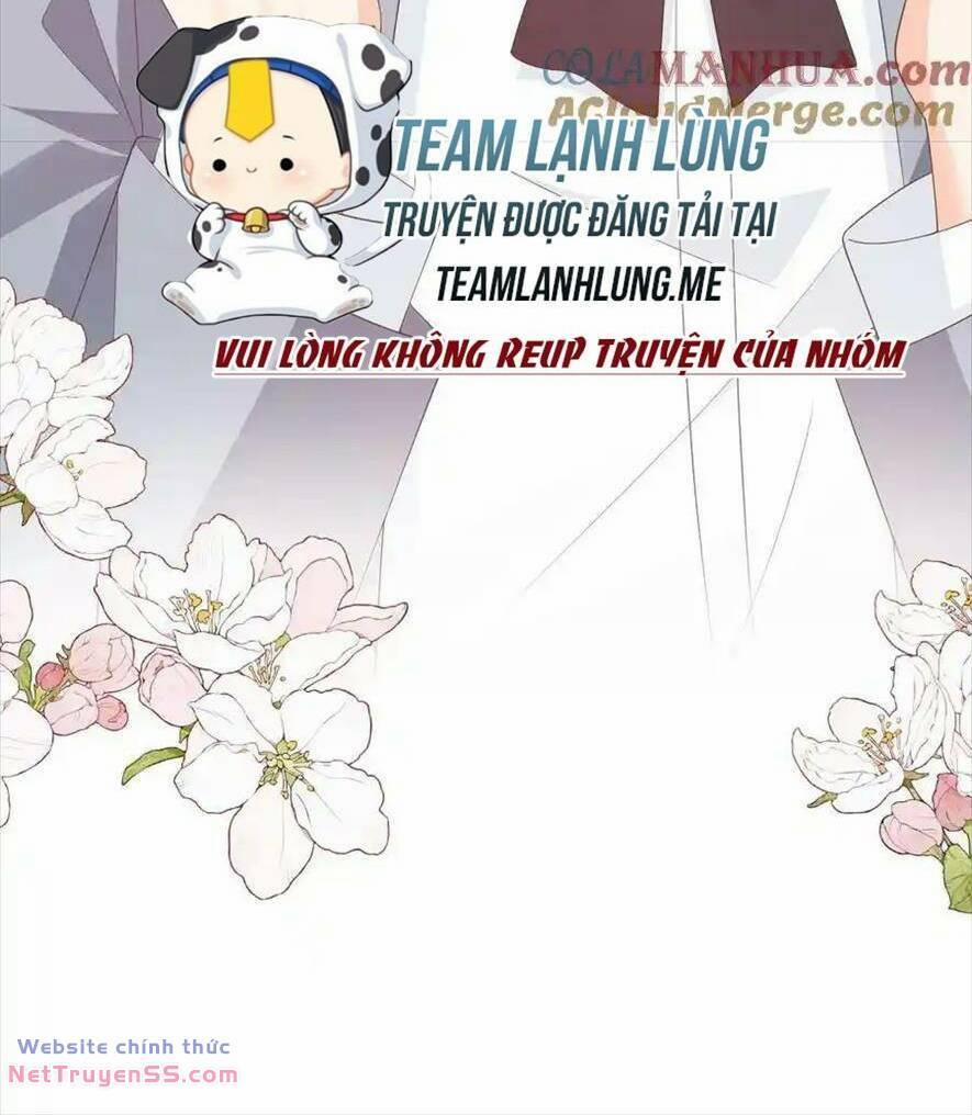 Trọng Sinh Trở Lại Làm Vợ Tổng Tài 104 trang 34