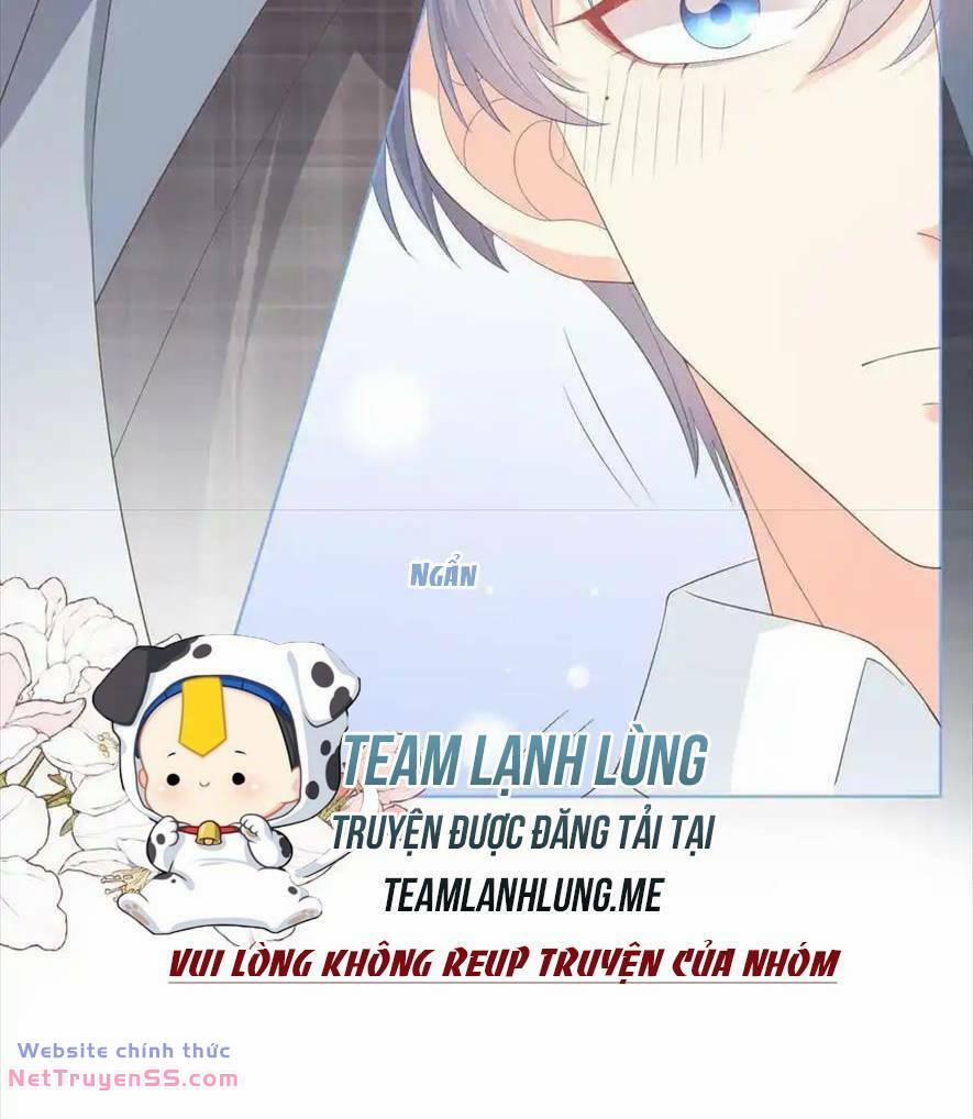 Trọng Sinh Trở Lại Làm Vợ Tổng Tài 104 trang 9