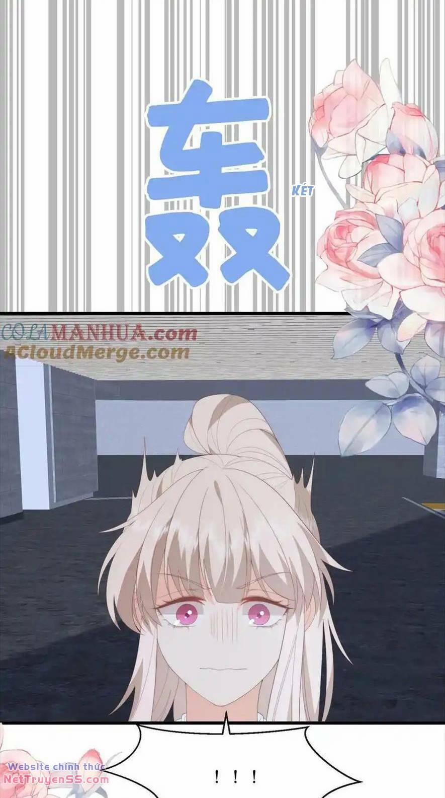 Trọng Sinh Trở Lại Làm Vợ Tổng Tài 105 trang 29