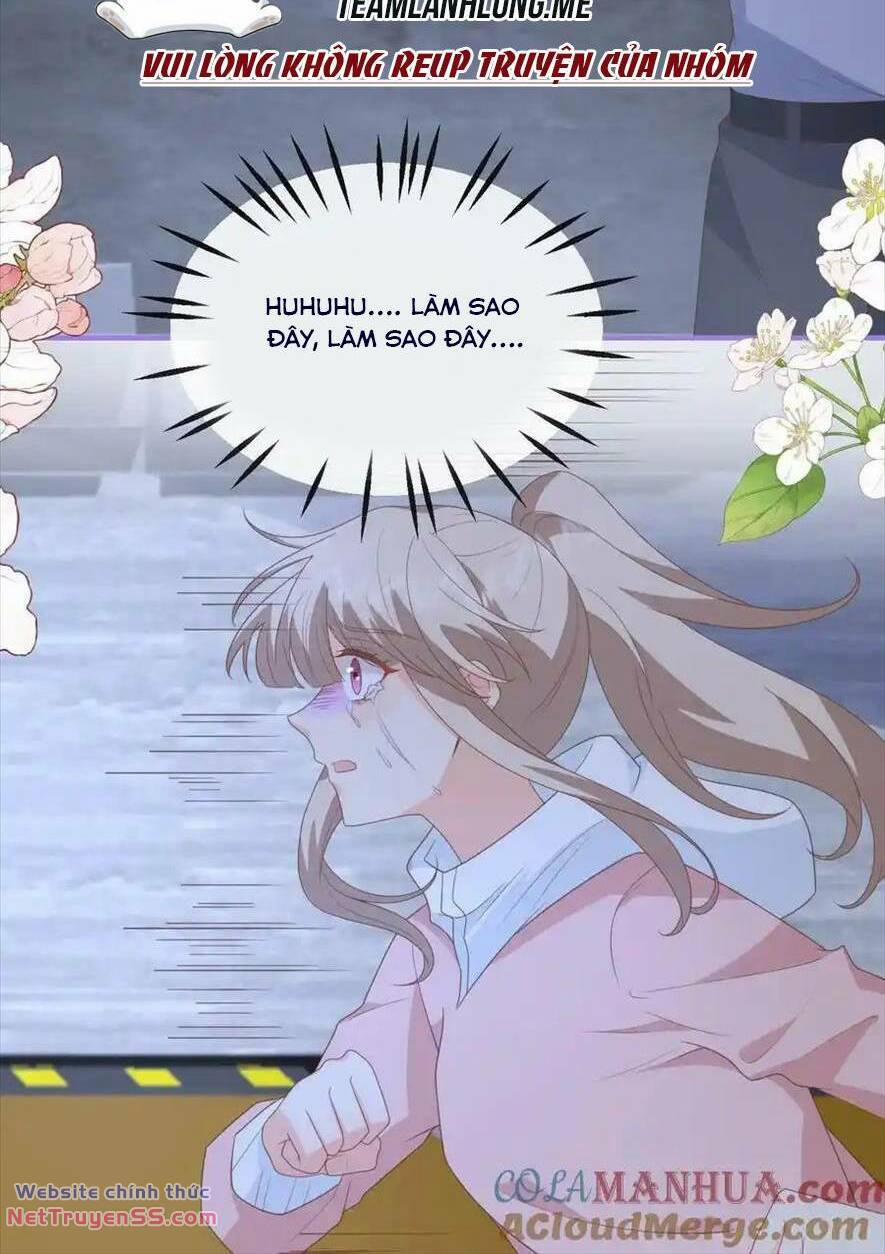 Trọng Sinh Trở Lại Làm Vợ Tổng Tài 106 trang 10