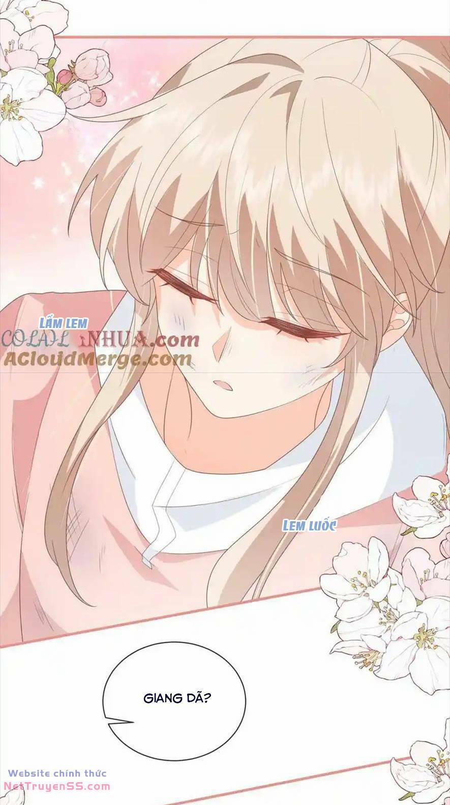 Trọng Sinh Trở Lại Làm Vợ Tổng Tài 106 trang 24