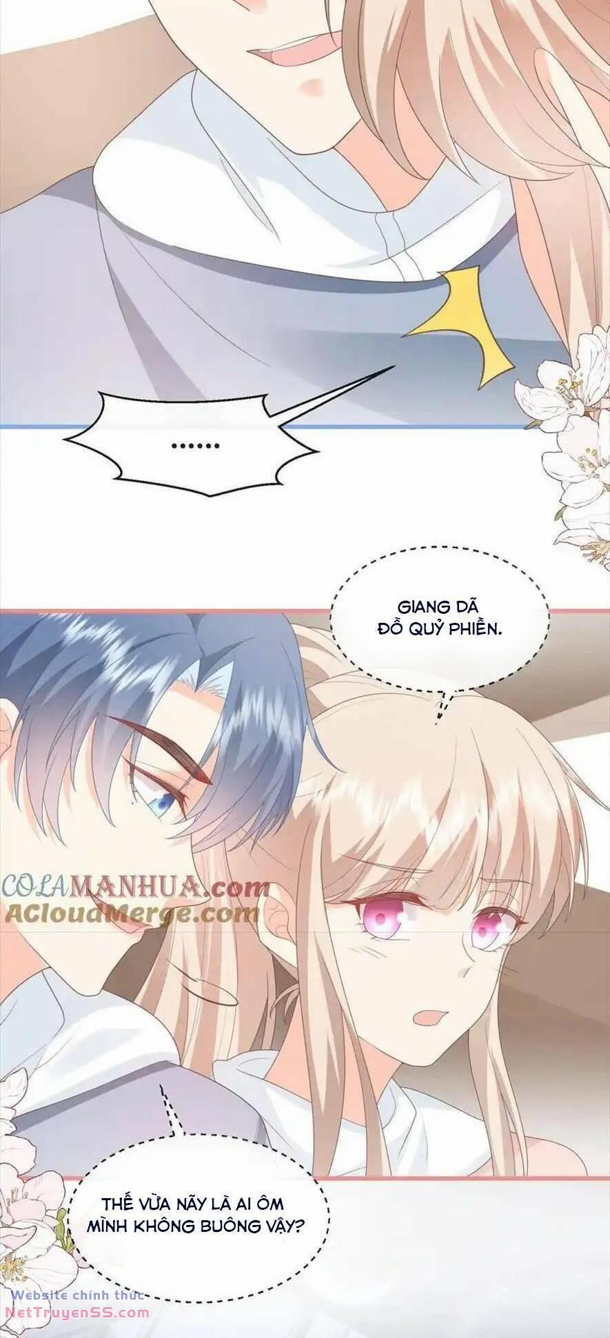 Trọng Sinh Trở Lại Làm Vợ Tổng Tài 107 trang 19