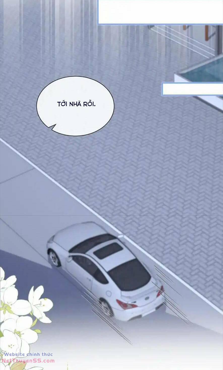 Trọng Sinh Trở Lại Làm Vợ Tổng Tài 108 trang 5