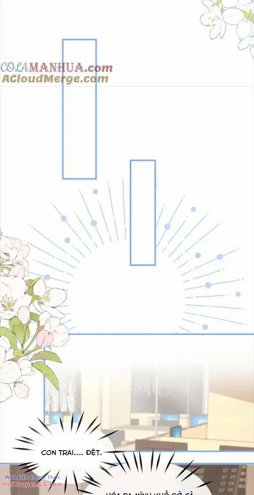 Trọng Sinh Trở Lại Làm Vợ Tổng Tài 108 trang 8