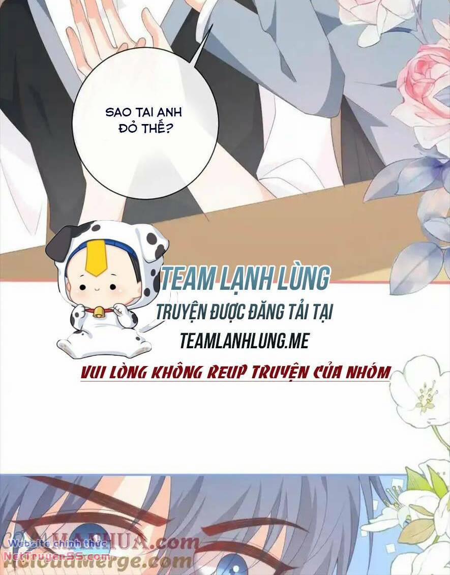 Trọng Sinh Trở Lại Làm Vợ Tổng Tài 113 trang 10