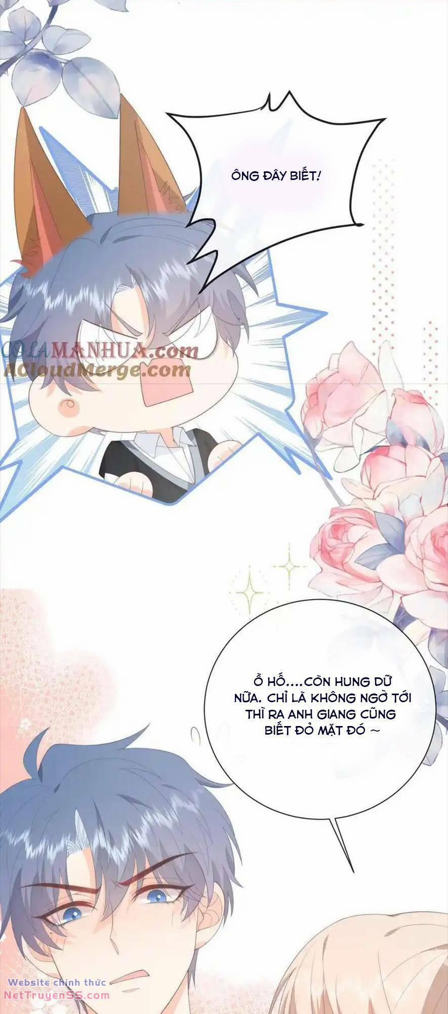 Trọng Sinh Trở Lại Làm Vợ Tổng Tài 113 trang 14