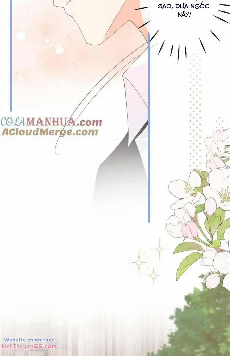 Trọng Sinh Trở Lại Làm Vợ Tổng Tài 113 trang 16