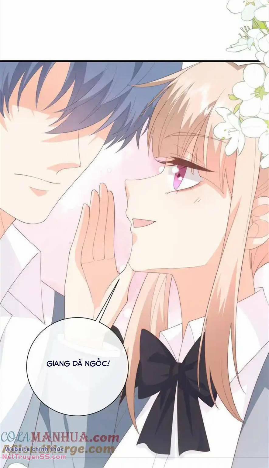 Trọng Sinh Trở Lại Làm Vợ Tổng Tài 113 trang 19