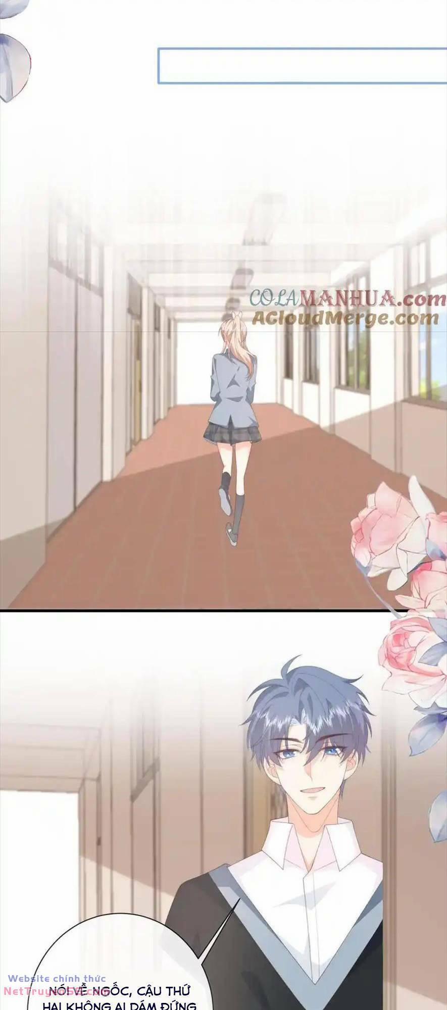 Trọng Sinh Trở Lại Làm Vợ Tổng Tài 113 trang 24