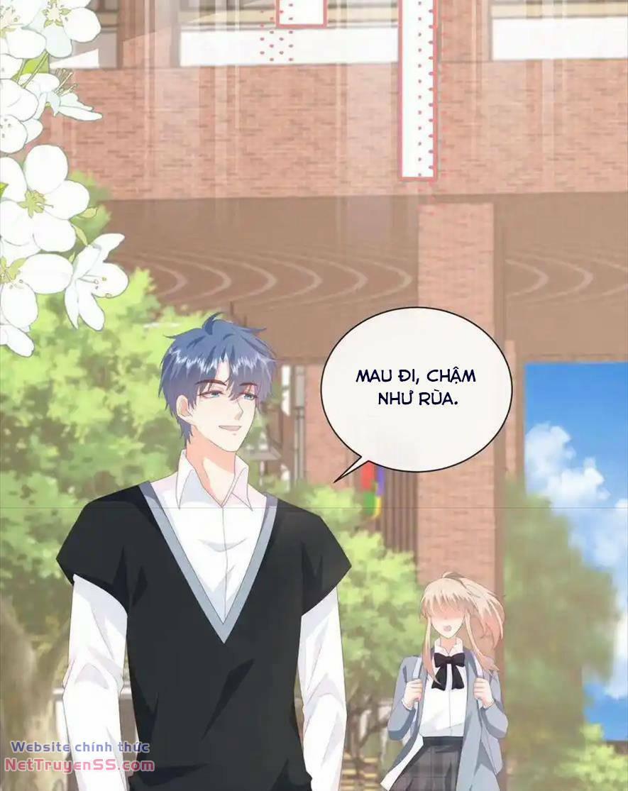 Trọng Sinh Trở Lại Làm Vợ Tổng Tài 114 trang 13