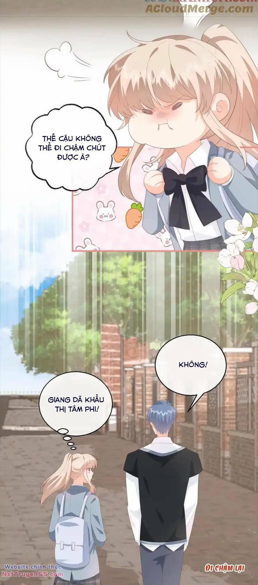 Trọng Sinh Trở Lại Làm Vợ Tổng Tài 114 trang 15