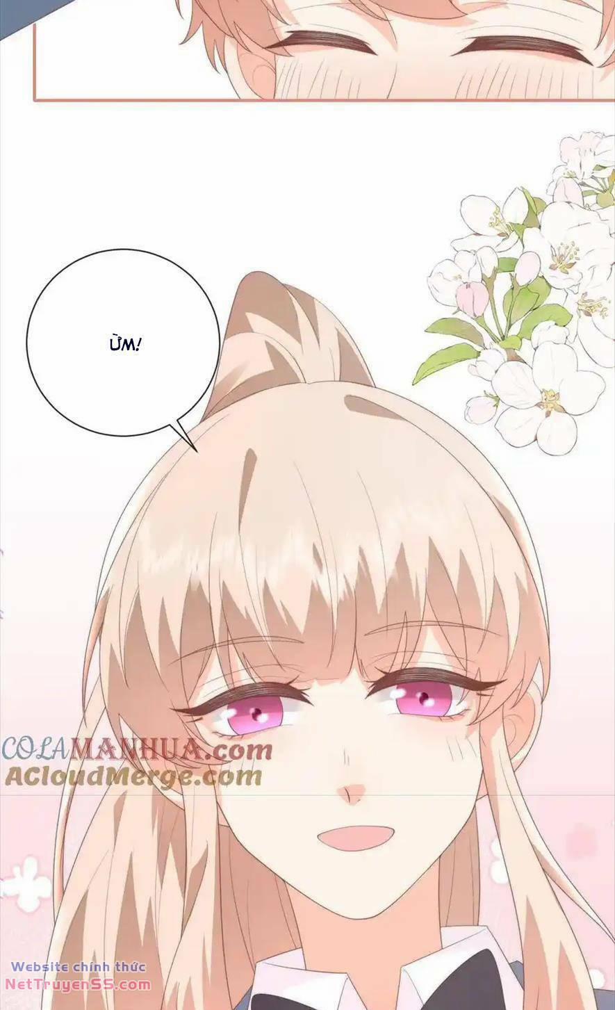 Trọng Sinh Trở Lại Làm Vợ Tổng Tài 117 trang 11